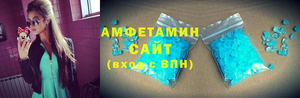 стаф Ельня