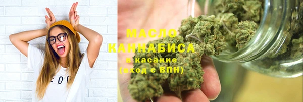 стаф Ельня