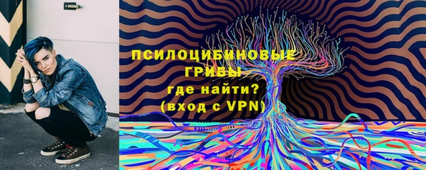 spice Елизово