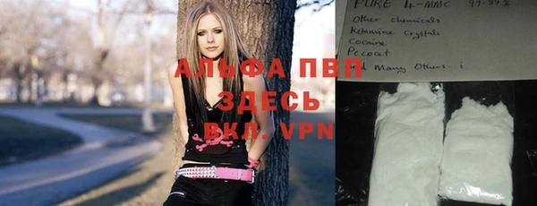 стаф Ельня