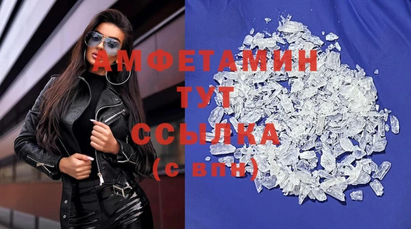 стаф Ельня