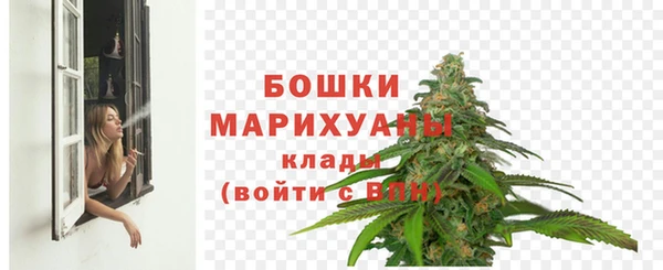 стаф Ельня