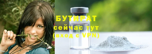 стаф Ельня