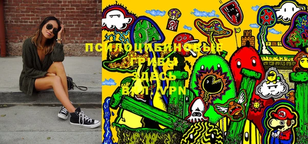 стаф Ельня