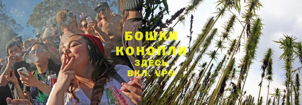 spice Елизово