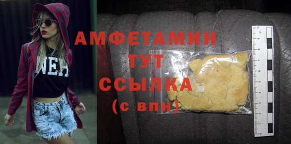 стаф Ельня