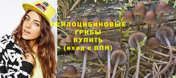 меф Елабуга