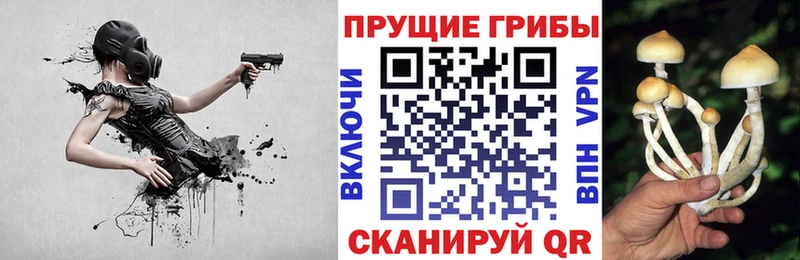 Псилоцибиновые грибы ЛСД  blacksprut онион  Питкяранта 